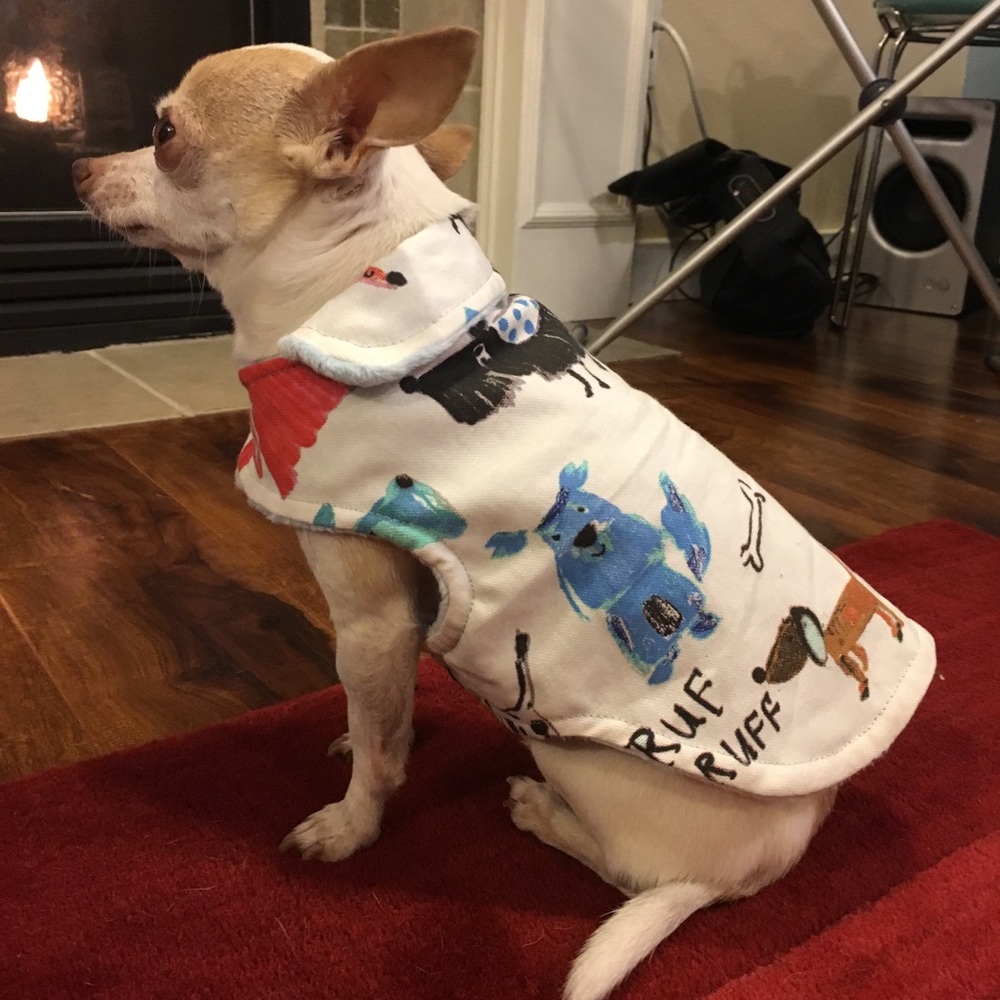 Handmade dog jacket 💕 dog sweater